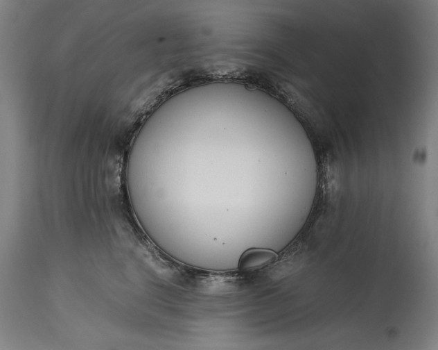 X0000115300664200911161659