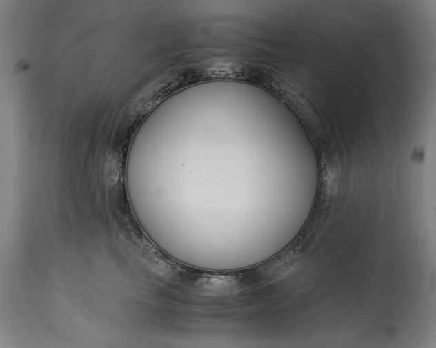 X0000115300665200911161659