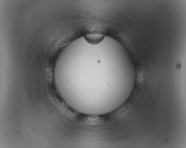 X0000115300666200911161659