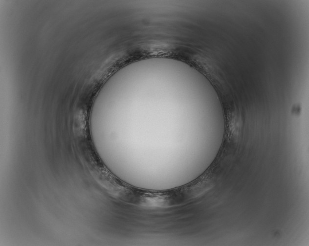 X0000115300667200911161659