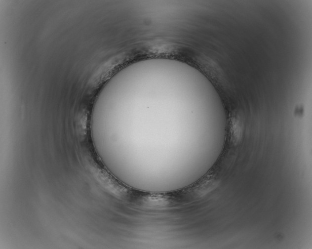 X0000115300668200911161659