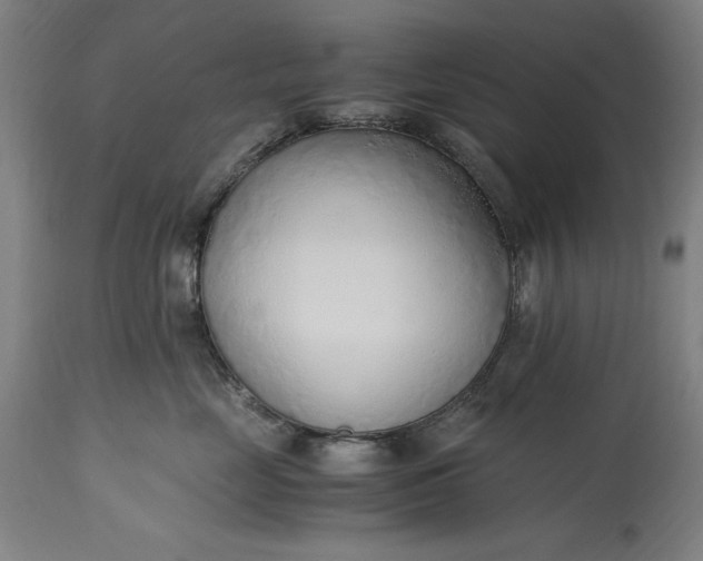 X0000115300669200911161659