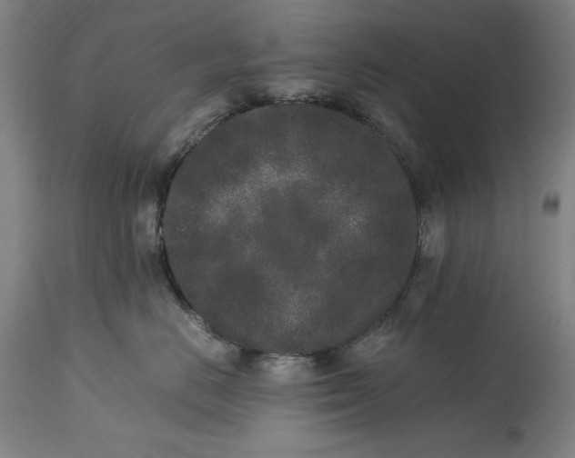 X0000115300670200911161659