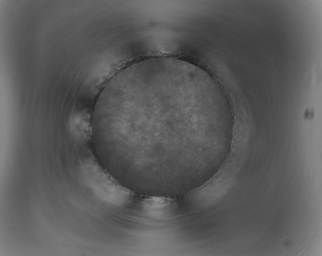 X0000115300672200911161659