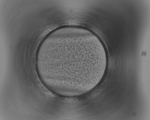 X0000115300673200911161658