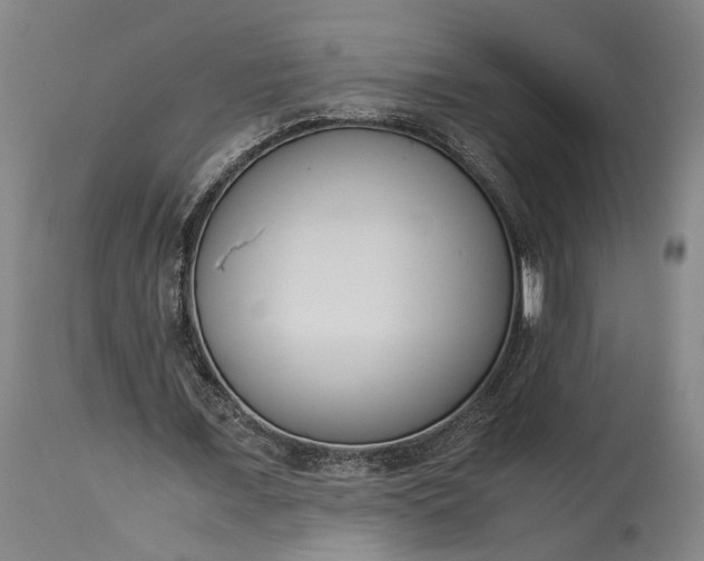 X0000115300675200911161658