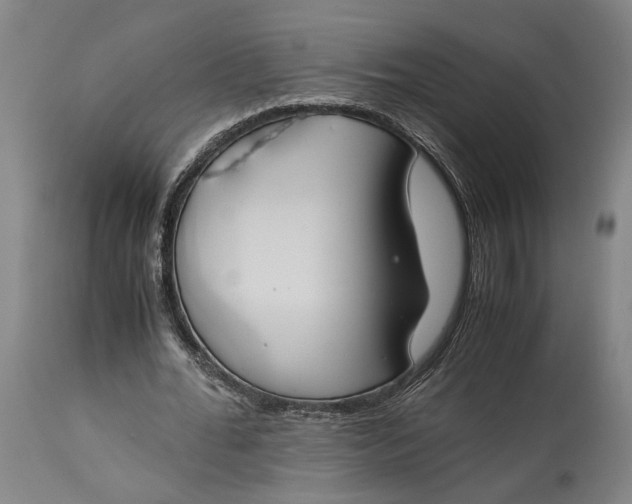 X0000115300676200911161658