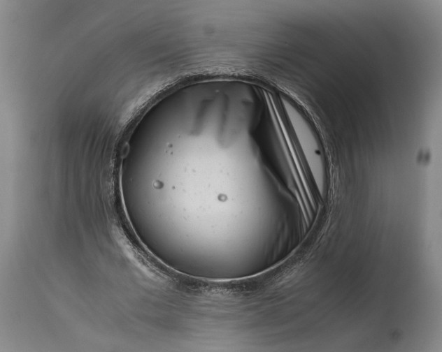 X0000115300677200911161658