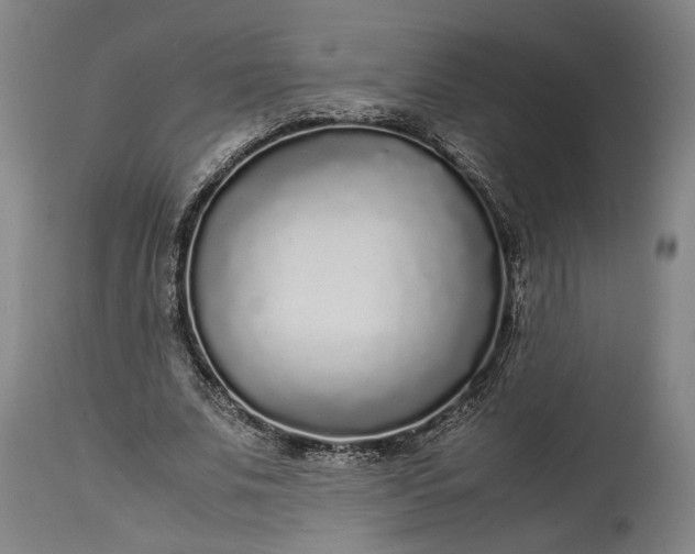 X0000115300679200911161658