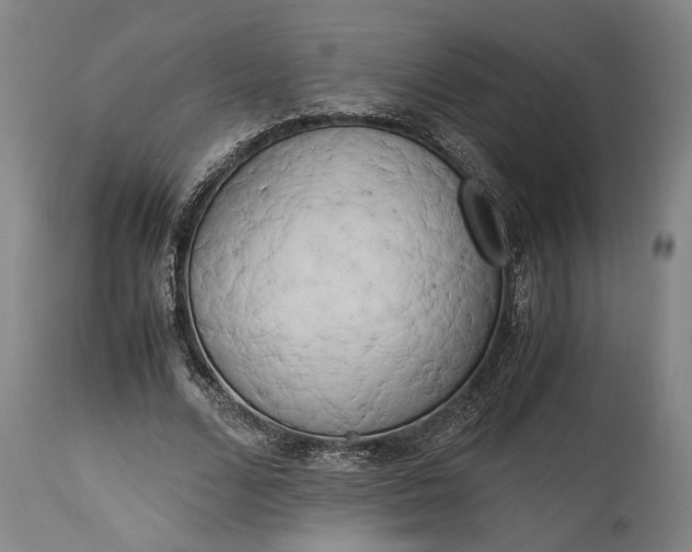 X0000115300680200911161658