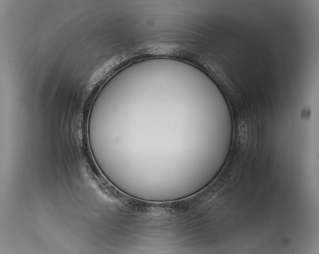 X0000115300682200911161658