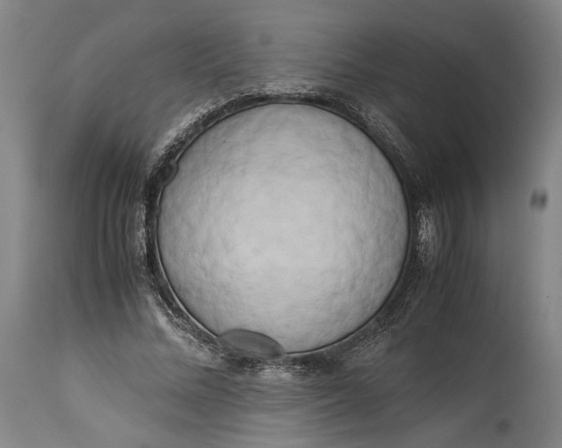 X0000115300684200911161658