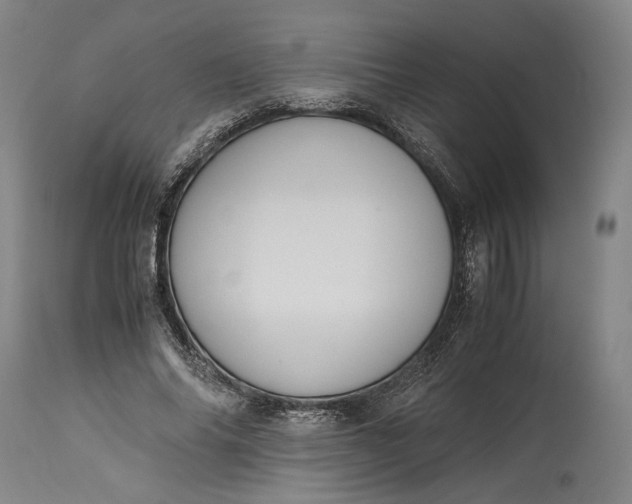 X0000115300686200911161658