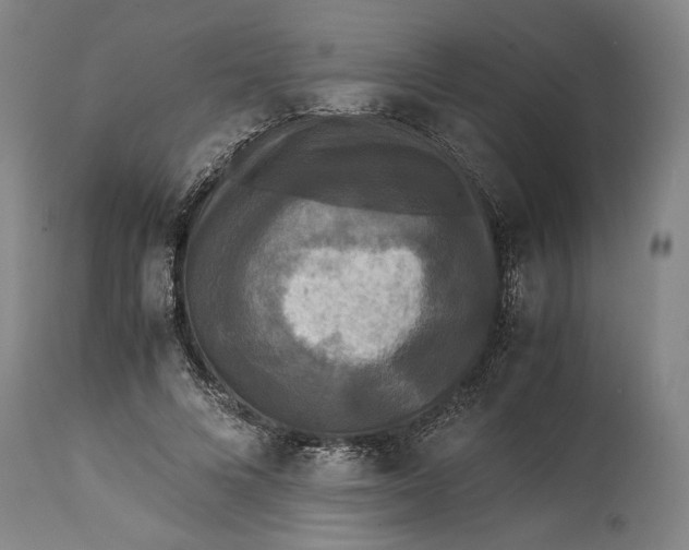 X0000115300688200911161658