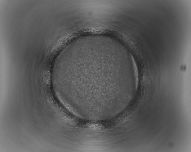 X0000115300689200911161658