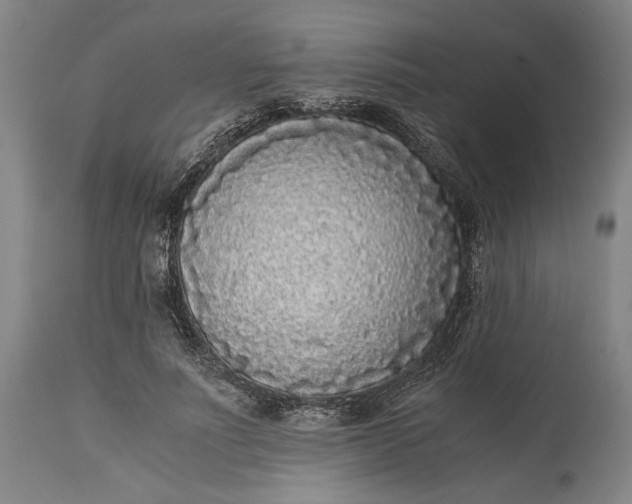 X0000115300691200911161658