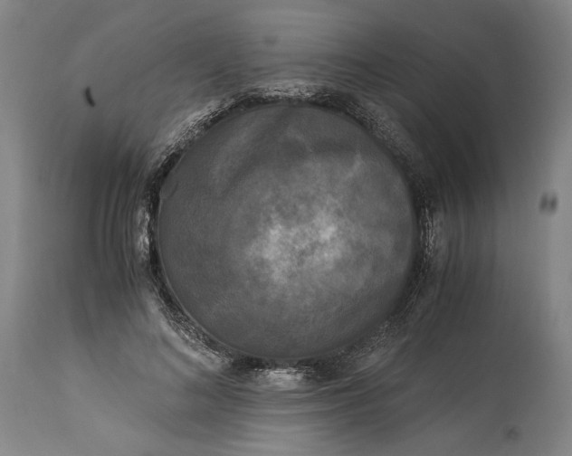 X0000115300692200911161658