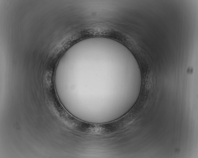 X0000115300695200911161658