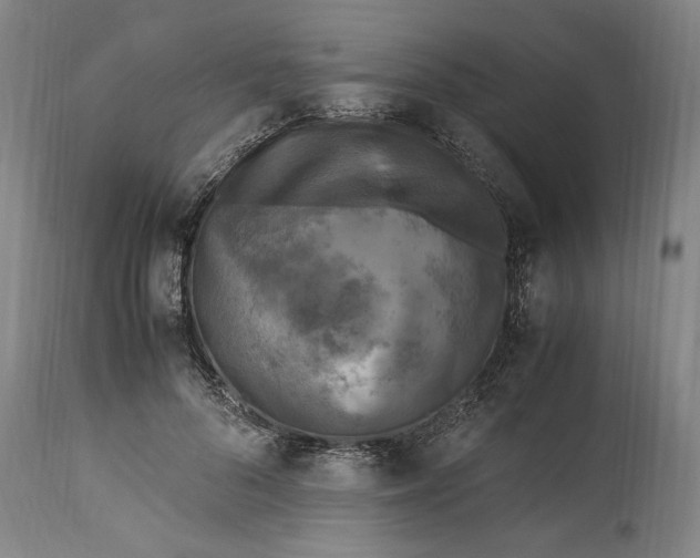 X0000115300696200911161658