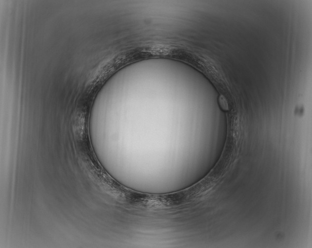 X0000115300697200911161658