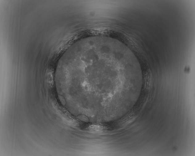 X0000115300699200911161658