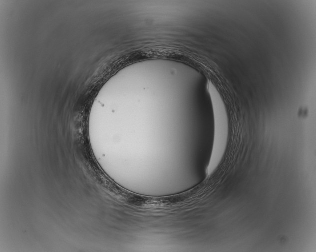 X0000115300701200911161658