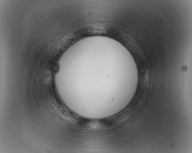 X0000115300704200911161658