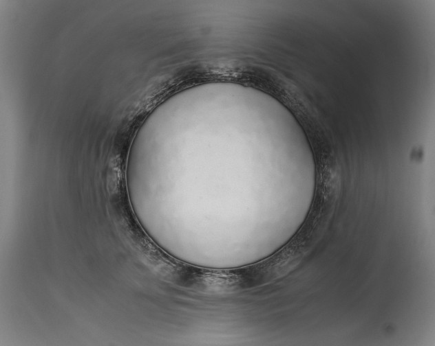 X0000115300707200911161658