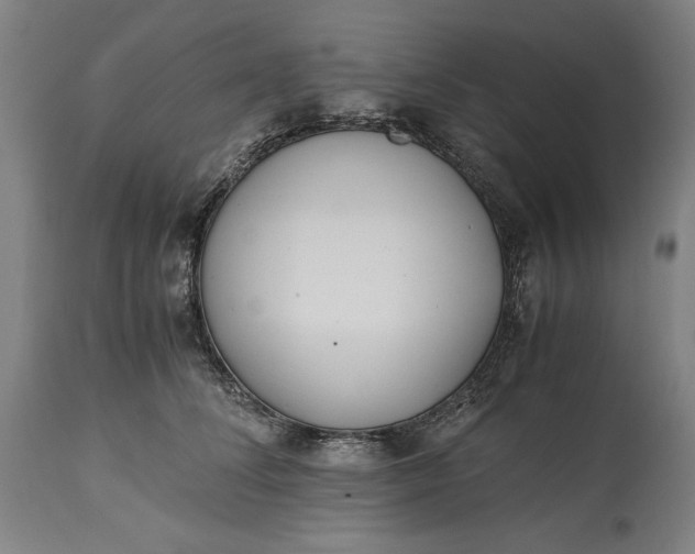 X0000115300708200911161658