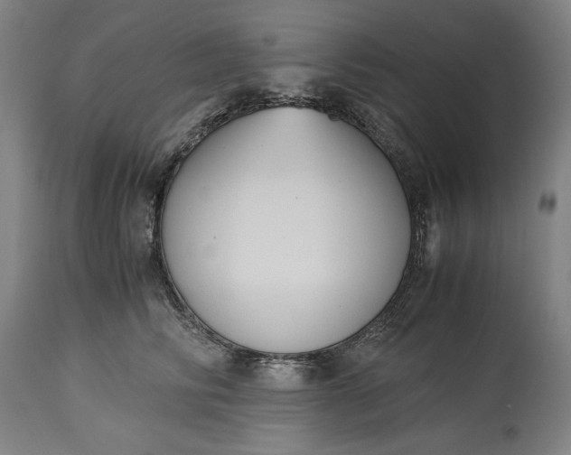 X0000115300710200911161658