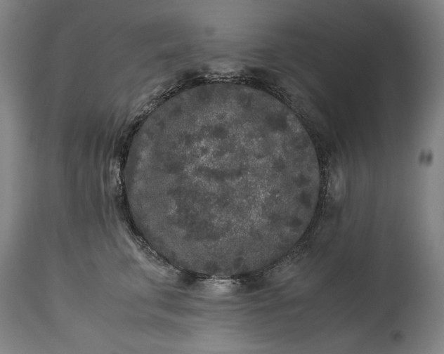 X0000115300711200911161658