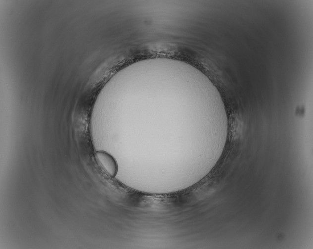 X0000115300713200911161658