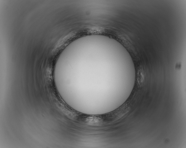 X0000115300714200911161658