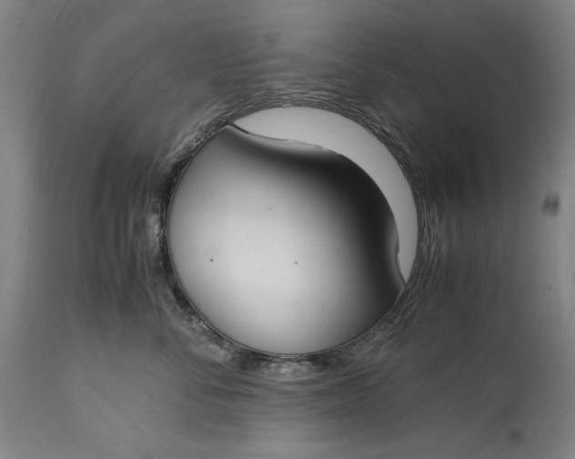 X0000115300716200911161658