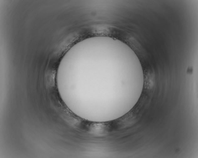 X0000115300717200911161658