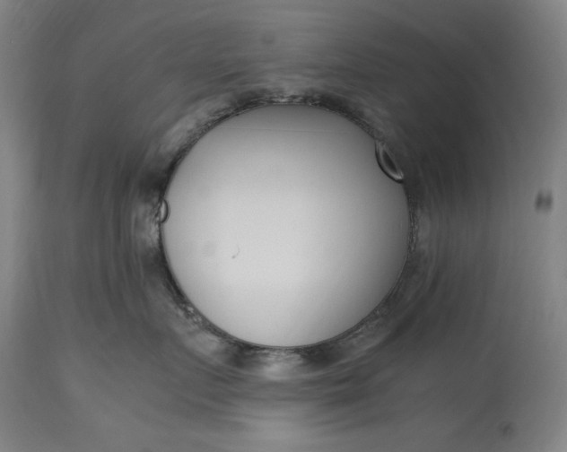 X0000115300719200911161657