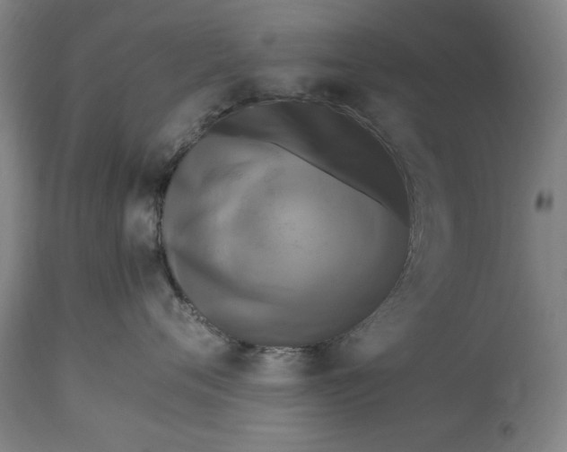 X0000115300720200911161657