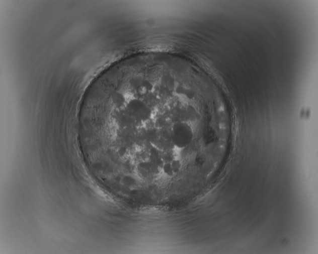 X0000115300721200911161657