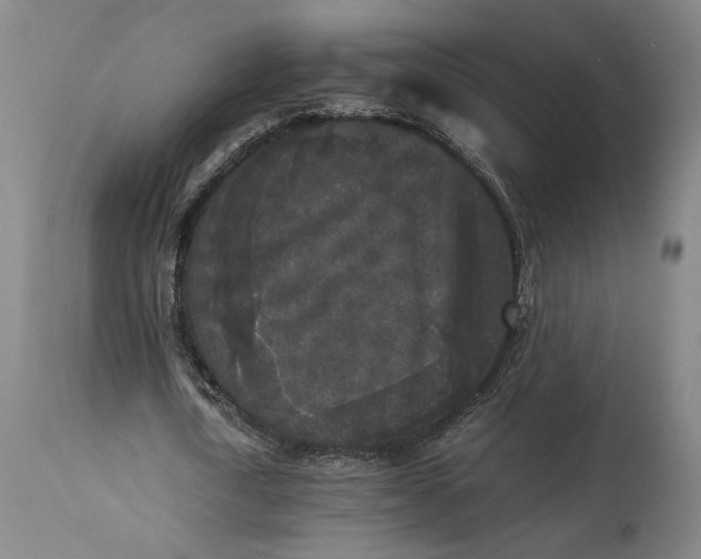 X0000115300722200911161657