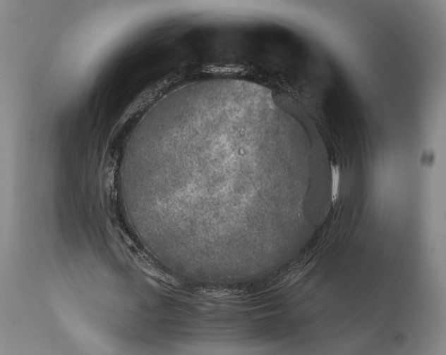 X0000115300723200911161657