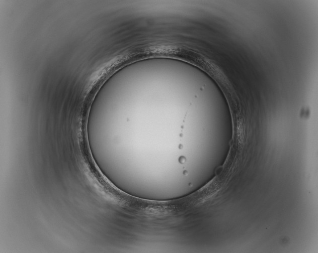 X0000115300725200911161657