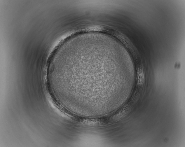 X0000115300726200911161657