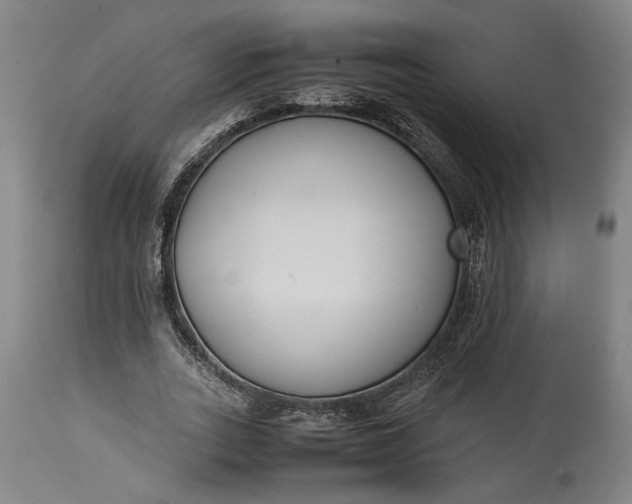 X0000115300727200911161657