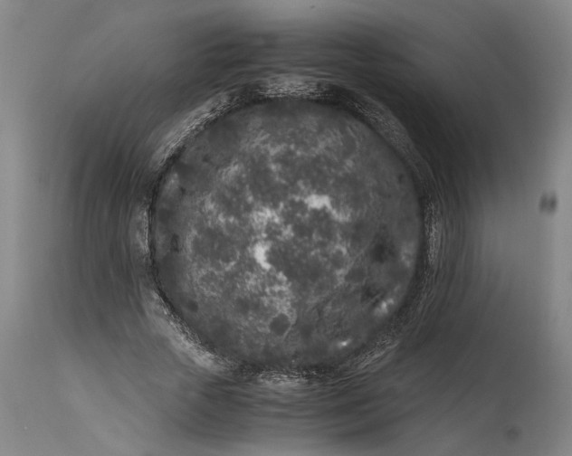 X0000115300729200911161657