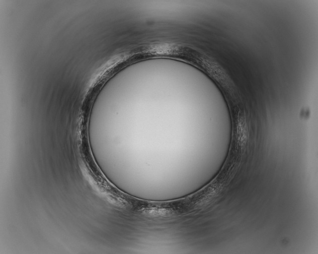 X0000115300730200911161657