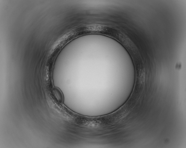 X0000115300731200911161657