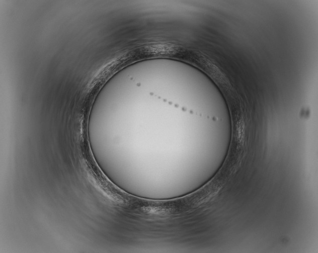 X0000115300733200911161657