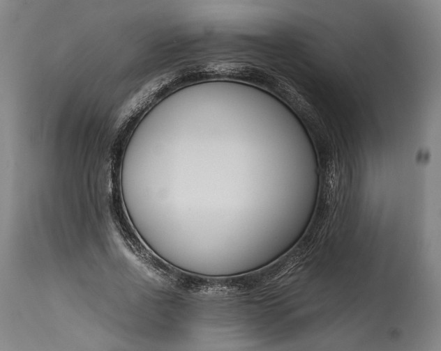 X0000115300734200911161657