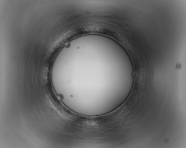 X0000115300735200911161657