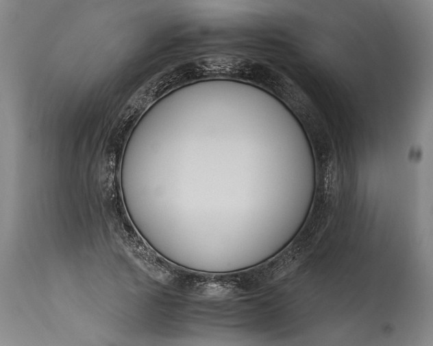 X0000115300737200911161657